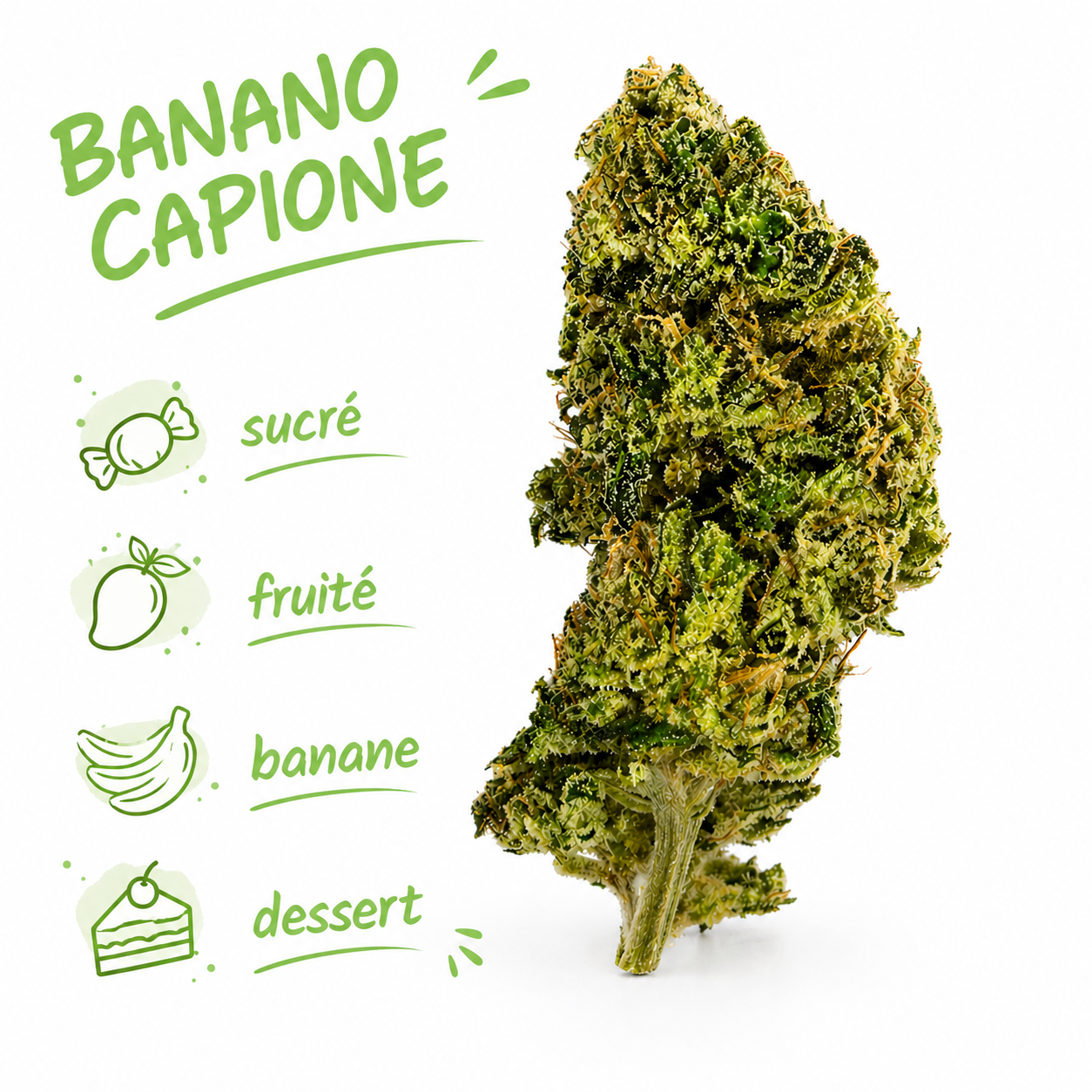 Banano Capione CBD Bio