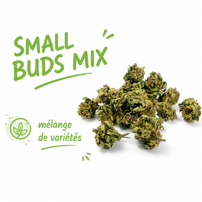 Small Buds Mix CBD Bio