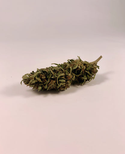 Tropical Haze CBD Bio